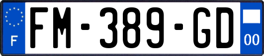 FM-389-GD