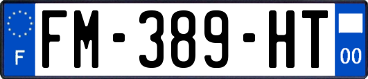 FM-389-HT