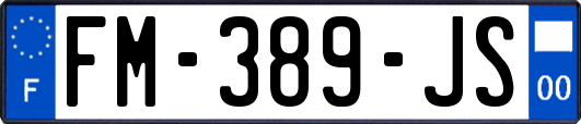FM-389-JS