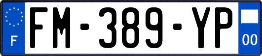FM-389-YP