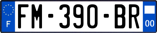 FM-390-BR