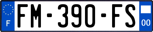 FM-390-FS