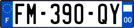 FM-390-QY