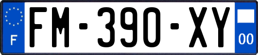 FM-390-XY
