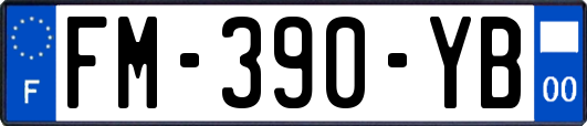 FM-390-YB