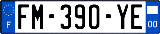 FM-390-YE