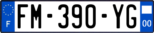 FM-390-YG