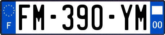 FM-390-YM