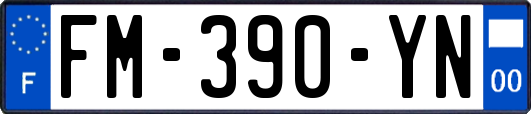 FM-390-YN