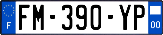 FM-390-YP