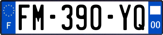 FM-390-YQ