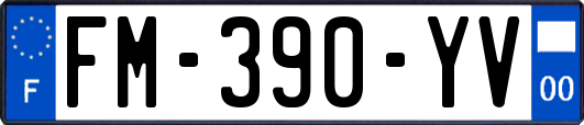 FM-390-YV