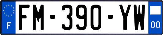 FM-390-YW