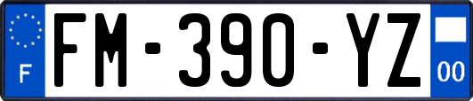 FM-390-YZ