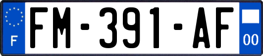 FM-391-AF