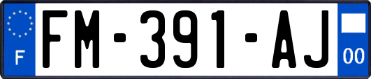 FM-391-AJ