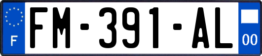 FM-391-AL