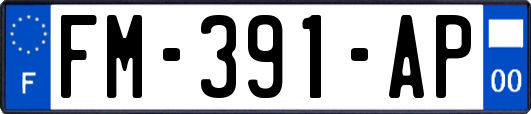 FM-391-AP