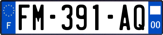 FM-391-AQ