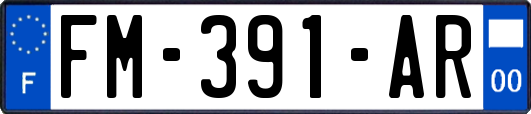 FM-391-AR