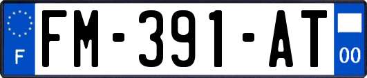 FM-391-AT