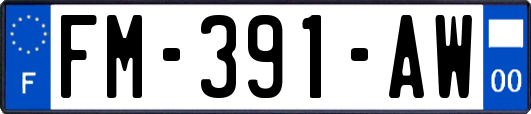 FM-391-AW