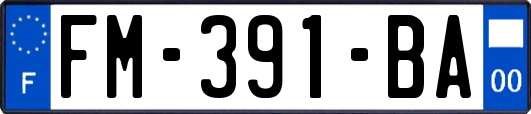 FM-391-BA
