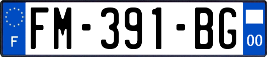 FM-391-BG