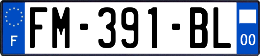 FM-391-BL