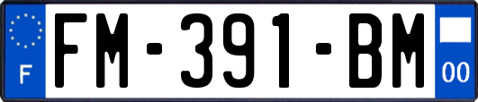 FM-391-BM