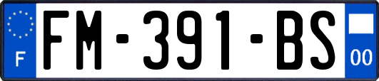 FM-391-BS