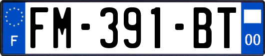 FM-391-BT