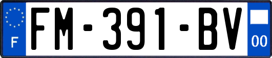FM-391-BV