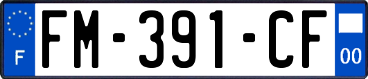FM-391-CF