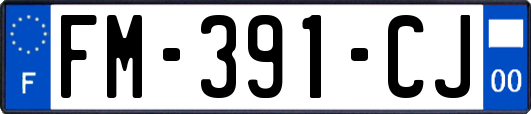 FM-391-CJ