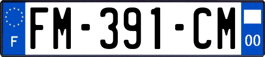 FM-391-CM
