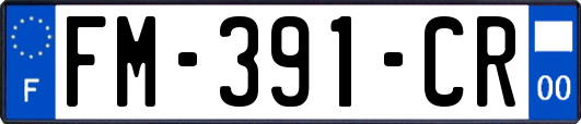 FM-391-CR