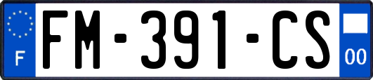 FM-391-CS
