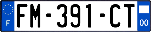 FM-391-CT
