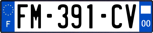 FM-391-CV