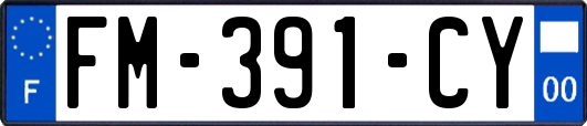 FM-391-CY
