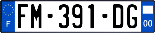FM-391-DG