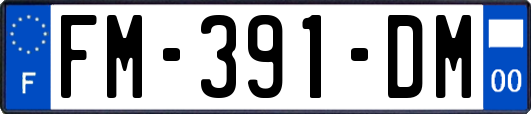 FM-391-DM