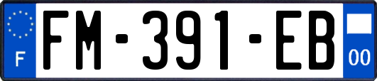 FM-391-EB