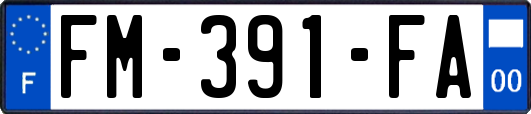 FM-391-FA