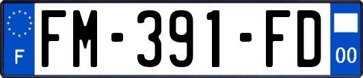 FM-391-FD