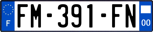 FM-391-FN