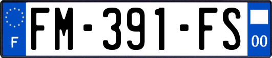 FM-391-FS