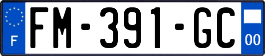 FM-391-GC