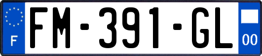 FM-391-GL